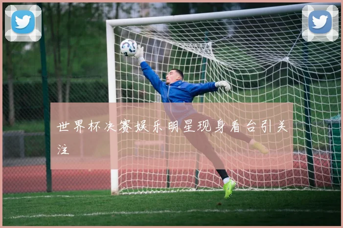 世界杯决赛娱乐明星现身看台引关注