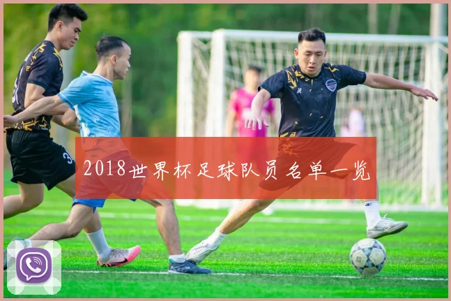 2018世界杯足球队员名单一览